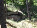 2017-06-01 12-39-55 Rando Fontainebleau DLe
